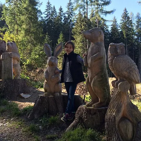 Lägenhet Appartements Sonnwies *