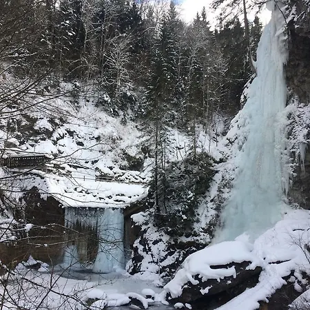 Sonnwies アパート